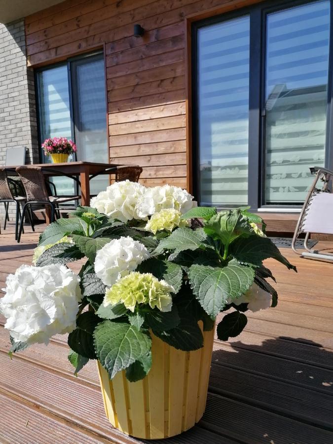 Geltoni Apartamentai Паланга Экстерьер фото
