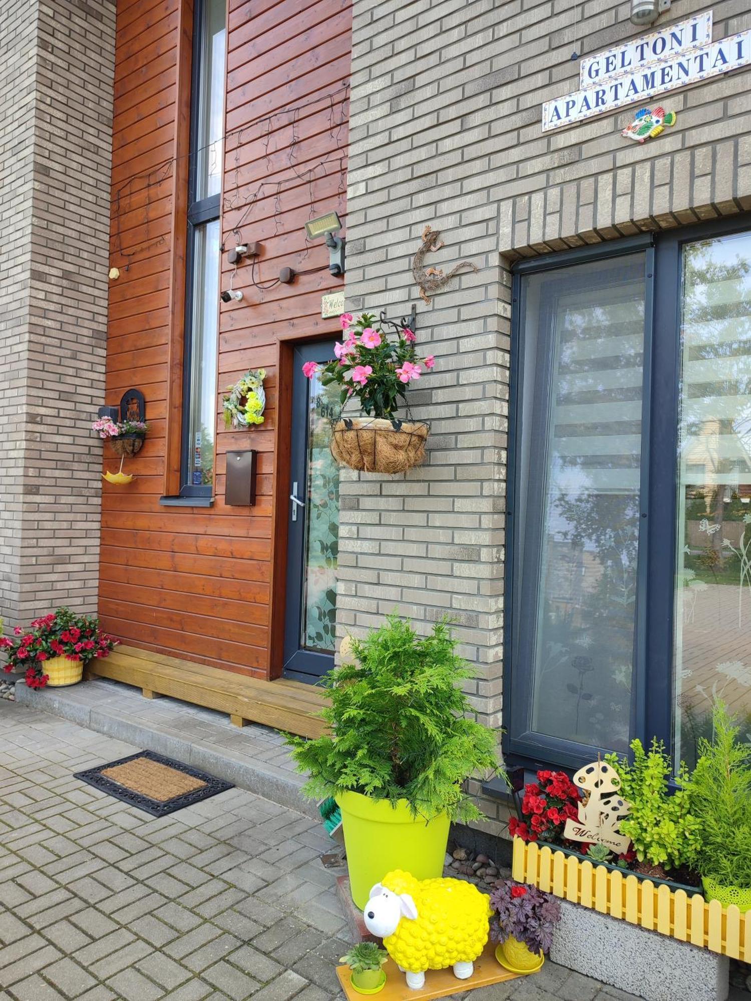 Geltoni Apartamentai Паланга Экстерьер фото